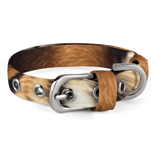 Safe Personalisiertes Hundehalsband, Bengalischer Tiger, verstellbar, für mittelgroße und kleine Hunde und Katzen Safe Personalisiertes Hundehalsband, Bengalischer Tiger, verstellbar, für mittelgroße und kleine Hunde und Katzen von LMHLDSC