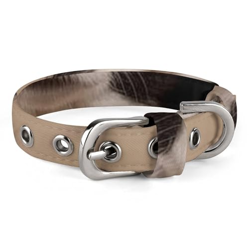 Safe Personalisiertes Hundehalsband, Border Collie, verstellbares Haustierhalsband für mittelgroße und kleine Hunde und Katzen Safe Personalisiertes Hundehalsband, Border Collie, verstellbares Haustierhalsband für mittelgroße und kleine Hunde und Katzen von LMHLDSC