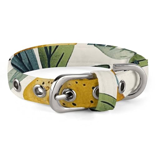 Safe Personalisiertes Hundehalsband, Feigen und Birnen, verstellbar, für mittelgroße und kleine Hunde und Katzen Safe Personalisiertes Hundehalsband, Feigen und Birnen, verstellbar, für mittelgroße und kleine Hunde und Katzen von LMHLDSC