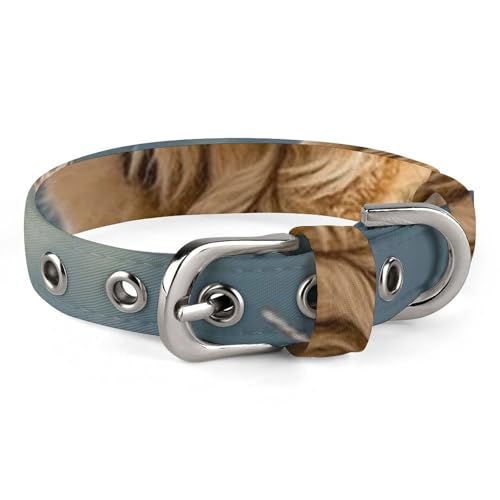 Safe Personalisiertes Hundehalsband, Golden Retriever, verstellbar, für mittelgroße und kleine Hunde und Katzen Safe Personalisiertes Hundehalsband, Golden Retriever, verstellbar, für mittelgroße und kleine Hunde und Katzen von LMHLDSC