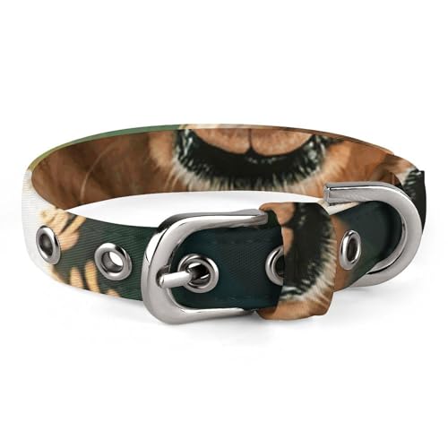 Safe Personalisiertes Hundehalsband, Golden Retriever, verstellbares Haustierhalsband für mittelgroße und kleine Hunde und Katzen von LMHLDSC