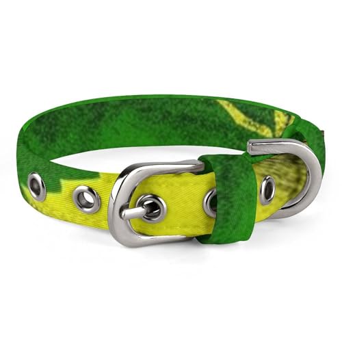 Safe Personalisiertes Hundehalsband, Jamaika-Flagge, Blätter, verstellbares Haustierhalsband für mittelgroße und kleine Hunde und Katzen Safe Personalisiertes Hundehalsband, Jamaika-Flagge, Blätter, verstellbares Haustierhalsband für mittelgroße und kleine Hunde und Katzen von LMHLDSC