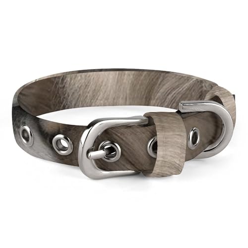Safe Personalisiertes Hundehalsband, Löwen und Löwen, verstellbar, für mittelgroße und kleine Hunde und Katzen Safe Personalisiertes Hundehalsband, Löwen und Löwen, verstellbar, für mittelgroße und kleine Hunde und Katzen von LMHLDSC