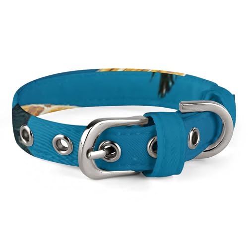 Safe Personalisiertes Hundehalsband, Palmen und Meeresschildkröten, Tauchen, Unterwasser, verstellbar, für mittelgroße und kleine Hunde und Katzen Safe Personalisiertes Hundehalsband, Palmen und Meeresschildkröten, Tauchen, Unterwasser, verstellbar, für mittelgroße und kleine Hunde und Katzen von LMHLDSC
