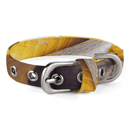 Safe Personalisiertes Hundehalsband, Python, verstellbar, für mittelgroße und kleine Hunde und Katzen, Gelb und Weiß Safe Personalisiertes Hundehalsband, Python, verstellbar, für mittelgroße und kleine Hunde und Katzen, Gelb und Weiß von LMHLDSC