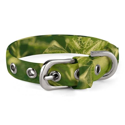 Safe Personalisiertes Hundehalsband, Sojabohnenfeld, verstellbar, für mittelgroße und kleine Hunde und Katzen von LMHLDSC