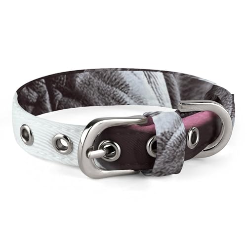 Safe Personalisiertes Hundehalsband, französische Bulldogge, rosa Brille, verstellbares Haustierhalsband für mittelgroße und kleine Hunde und Katzen Safe Personalisiertes Hundehalsband, französische Bulldogge, rosa Brille, verstellbares Haustierhalsband für mittelgroße und kleine Hunde und Katzen von LMHLDSC