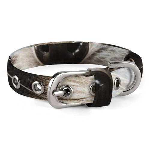 Safe Personalisiertes Hundehalsband, haariger Waschbär, verstellbar, für mittelgroße und kleine Hunde und Katzen von LMHLDSC