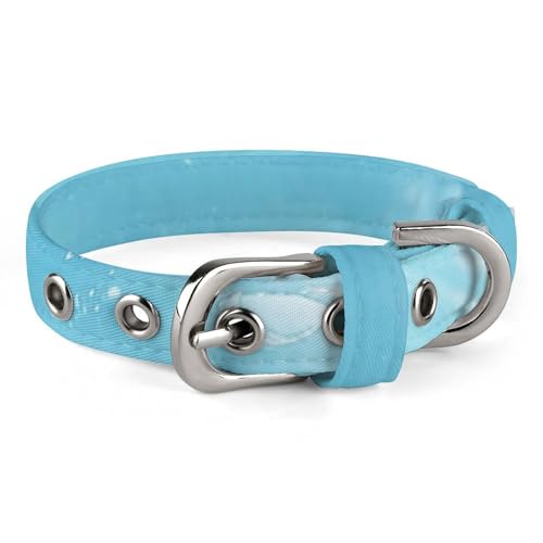 Safe Personalisiertes Hundehalsband, hellblau, verstellbar, für mittelgroße und kleine Hunde und Katzen Safe Personalisiertes Hundehalsband, hellblau, verstellbar, für mittelgroße und kleine Hunde und Katzen von LMHLDSC