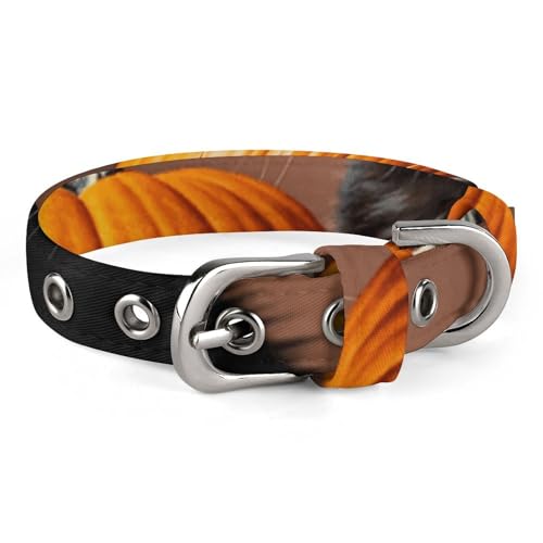 Safe Personalisiertes Hundehalsband, niedliche schwarze Katze, verstellbar, für mittelgroße und kleine Hunde und Katzen Safe Personalisiertes Hundehalsband, niedliche schwarze Katze, verstellbar, für mittelgroße und kleine Hunde und Katzen von LMHLDSC