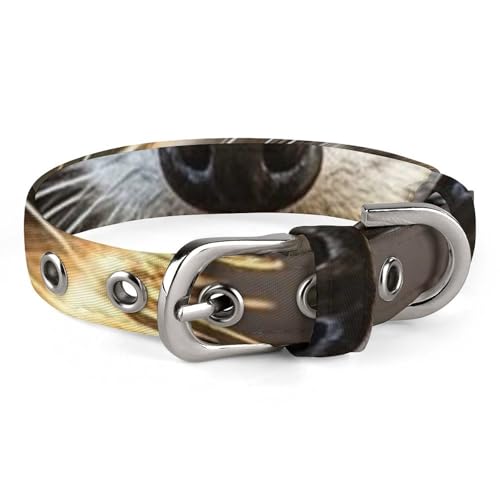 Safe Personalisiertes Hundehalsband, niedlicher Waschbär, verstellbar, für mittelgroße und kleine Hunde und Katzen von LMHLDSC