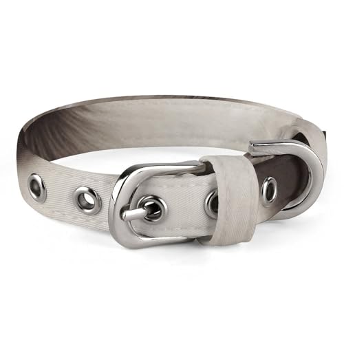 Safe Personalisiertes Hundehalsband, niedliches Malteser-Welpen, verstellbares Haustierhalsband für mittelgroße und kleine Hunde und Katzen von LMHLDSC