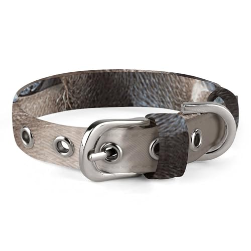 Safe Personalisiertes Hundehalsband, schöne siamesische Katze, verstellbares Haustierhalsband für mittelgroße und kleine Hunde und Katzen Safe Personalisiertes Hundehalsband, schöne siamesische Katze, verstellbares Haustierhalsband für mittelgroße und kleine Hunde und Katzen von LMHLDSC