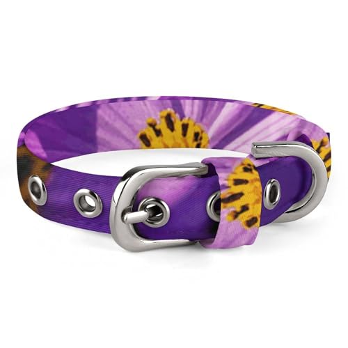 Safe Personalisiertes Hundehalsband, violette Blumen, verstellbar, für mittelgroße und kleine Hunde und Katzen Safe Personalisiertes Hundehalsband, violette Blumen, verstellbar, für mittelgroße und kleine Hunde und Katzen von LMHLDSC
