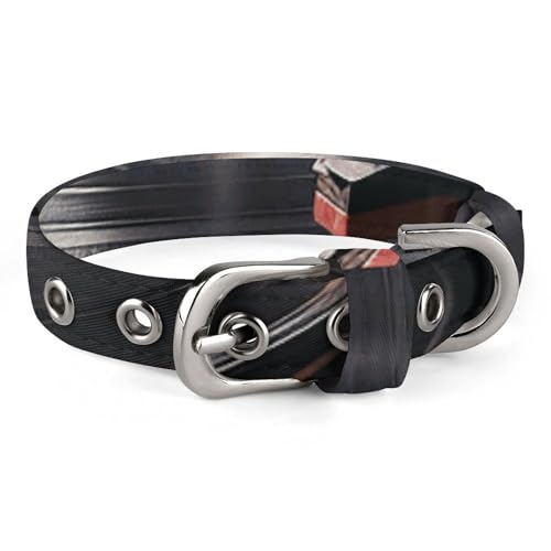 Sicheres, personalisierbares Hundehalsband, Plattenspieler, verstellbares Haustierhalsband für mittelgroße und kleine Hunde und Katzen Sicheres, personalisierbares Hundehalsband, Plattenspieler, verstellbares Haustierhalsband für mittelgroße und kleine Hunde und Katzen von LMHLDSC