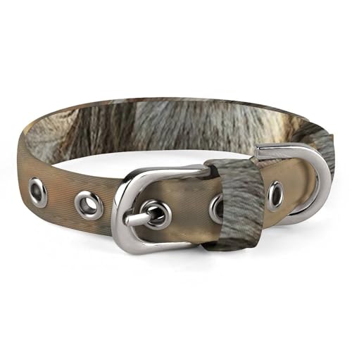 Sicheres, personalisierbares Hundehalsband für mittelgroße und kleine Hunde und Katzen von LMHLDSC