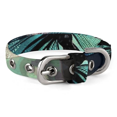 Halsband für kleine und mittelgroße Haustiere, verstellbar, Oxford-Stoff, Galaxie, Tier, Libellen-Druck, Haustierhalsband, personalisierbar Halsband für kleine und mittelgroße Haustiere, verstellbar, Oxford-Stoff, Galaxie, Tier, Libellen-Druck, Haustierhalsband, personalisierbar von LMNGH