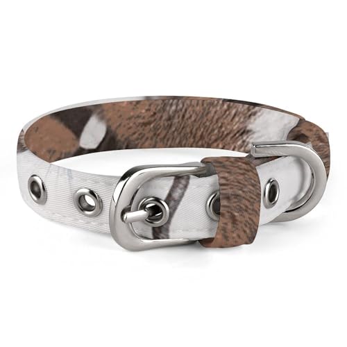 Halsband für kleine und mittelgroße Haustiere, verstellbar, Oxford-Stoff, Skifahren, Eichhörnchen-Druck, Haustierhalsband, personalisierbar Halsband für kleine und mittelgroße Haustiere, verstellbar, Oxford-Stoff, Skifahren, Eichhörnchen-Druck, Haustierhalsband, personalisierbar von LMNGH
