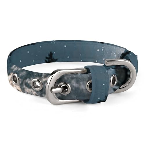 Halsband für kleine und mittelgroße Haustiere, verstellbar, Oxford-Stoff, mit Blick auf die Sterne, personalisierbar, für Katzen und Hunde Halsband für kleine und mittelgroße Haustiere, verstellbar, Oxford-Stoff, mit Blick auf die Sterne, personalisierbar, für Katzen und Hunde von LMNGH
