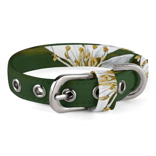 Halsband für kleine und mittelgroße Haustiere, verstellbar, Oxford-Stoff, weiß, natürliche Pflanze, grüner Zweigdruck, Haustierhalsband, personalisierbar Halsband für kleine und mittelgroße Haustiere, verstellbar, Oxford-Stoff, weiß, natürliche Pflanze, grüner Zweigdruck, Haustierhalsband, personalisierbar von LMNGH