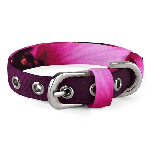 Hundehalsband, verstellbar, Oxford-Stoff, Blumendruck, personalisierbar, für kleine und mittelgroße Haustiere Hundehalsband, verstellbar, Oxford-Stoff, Blumendruck, personalisierbar, für kleine und mittelgroße Haustiere von LMNGH