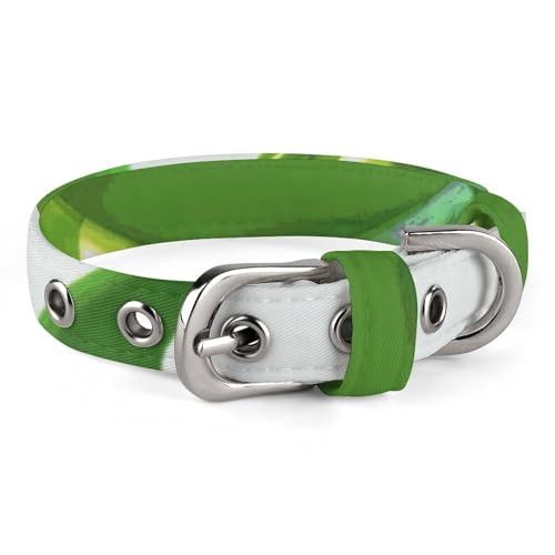 Hundehalsband, verstellbar, Oxford-Stoff, grüner Froschdruck, personalisierbar, für kleine und mittelgroße Haustiere Hundehalsband, verstellbar, Oxford-Stoff, grüner Froschdruck, personalisierbar, für kleine und mittelgroße Haustiere von LMNGH