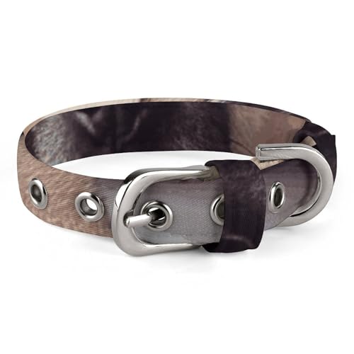 Hundehalsband für kleine und mittelgroße Haustiere, verstellbar, Oxford-Stoff, Hund in einer Decke, bedruckt, Haustierhalsband, personalisierbar Hundehalsband für kleine und mittelgroße Haustiere, verstellbar, Oxford-Stoff, Hund in einer Decke, bedruckt, Haustierhalsband, personalisierbar von LMNGH