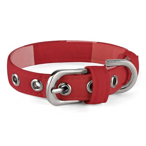Hundehalsband für kleine und mittelgroße Haustiere, verstellbar, Oxford-Stoff, rot kariert, weiß, quadratisch, bedruckt, Haustierhalsband, personalisierbar Hundehalsband für kleine und mittelgroße Haustiere, verstellbar, Oxford-Stoff, rot kariert, weiß, quadratisch, bedruckt, Haustierhalsband, personalisierbar von LMNGH