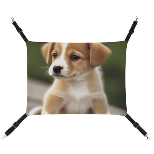 LMNGH Hängende Katzenhängematte, atmungsaktive Hängematte, ruhende Schlafunterlage für Katzen, verstellbar, niedlich, Welpen, Hund, bedruckt, Katzenbett, Haustierhängematte LMNGH Hängende Katzenhängematte, atmungsaktive Hängematte, ruhende Schlafunterlage für Katzen, verstellbar, niedlich, Welpen, Hund, bedruckt, Katzenbett, Haustierhängematte von LMNGH