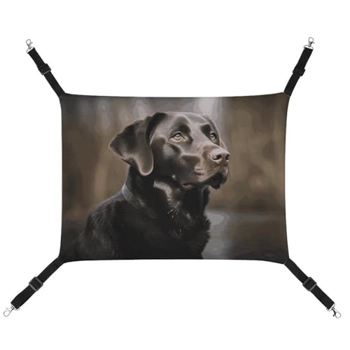 LMNGH Hängende Katzenhängematte, atmungsaktive Hängematte zum Ausruhen, Schlafunterlage für Katzen, verstellbar, Labrador Retriever, bedrucktes Katzenbett, Haustierhängematte LMNGH Hängende Katzenhängematte, atmungsaktive Hängematte zum Ausruhen, Schlafunterlage für Katzen, verstellbar, Labrador Retriever, bedrucktes Katzenbett, Haustierhängematte von LMNGH