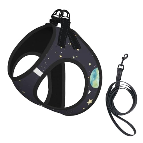 Galaxy.. Verstellbares Geschirr-Leinen-Set für Katzen und Hunde, weich, atmungsaktiv, Kätzchen-Welpen-Netzweste mit reflektierendem Design, ausbruchsichere Leine für kleine Haustiere Galaxy.. Verstellbares Geschirr-Leinen-Set für Katzen und Hunde, weich, atmungsaktiv, Kätzchen-Welpen-Netzweste mit reflektierendem Design, ausbruchsichere Leine für kleine Haustiere von LMNvbz