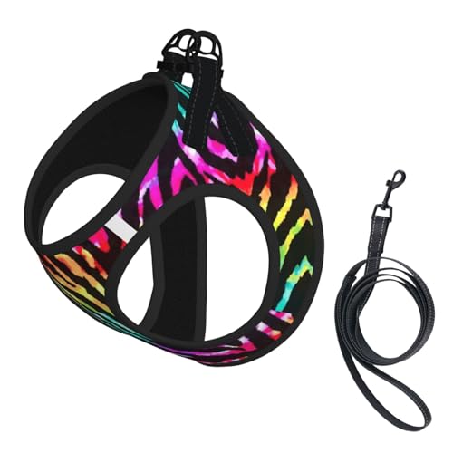 Verstellbares Geschirr-Set für Katzen und Hunde, buntes Regenbogen-Zebra-Druck, weich, atmungsaktiv, für Kätzchen, Welpen, Netzweste mit reflektierendem Design, ausbruchsichere Leine für kleine von LMNvbz