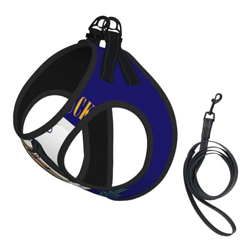 Verstellbares Geschirr-Set für Katzen und Hunde, mit Kentucky-Flagge, weich, atmungsaktiv, mit reflektierendem Design, ausbruchsichere Leine für kleine Haustiere von LMNvbz