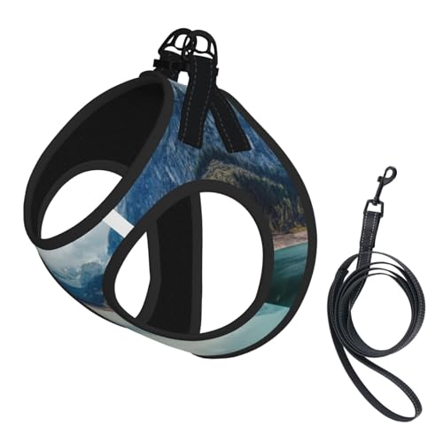 Verstellbares Geschirr-Set für Katzen und Hunde, natürliches Berglandschaftsmuster, weich, atmungsaktiv, für Kätzchen, Welpen, Netzweste mit reflektierendem Design, ausbruchsichere Leine für kleine von LMNvbz