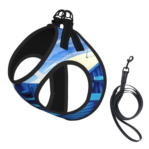Verstellbares Geschirr-Set für Katzen und Hunde, weich, atmungsaktiv, für Kätzchen, Welpen, Netzweste mit reflektierendem Design, ausbruchsichere Leine für kleine Haustiere, Blau Himmelgelb von LMNvbz