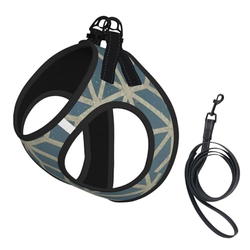 Verstellbares Geschirr-Set für Katzen und Hunde, weich, atmungsaktiv, für Kätzchen, Welpen, Netzweste mit reflektierendem Design, ausbruchsichere Leine für kleine Haustiere, zum Spazierengehen und Verstellbares Geschirr-Set für Katzen und Hunde, weich, atmungsaktiv, für Kätzchen, Welpen, Netzweste mit reflektierendem Design, ausbruchsichere Leine für kleine Haustiere, zum Spazierengehen und von LMNvbz