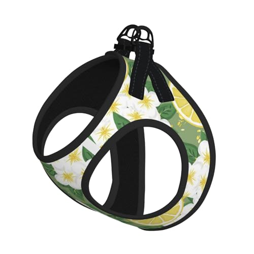 Verstellbares Geschirr-Set mit Leine für Katzen und Hunde, weich, atmungsaktiv, mit reflektierendem Design, ausbruchsichere Leine für kleine Haustiere Verstellbares Geschirr-Set mit Leine für Katzen und Hunde, weich, atmungsaktiv, mit reflektierendem Design, ausbruchsichere Leine für kleine Haustiere von LMNvbz