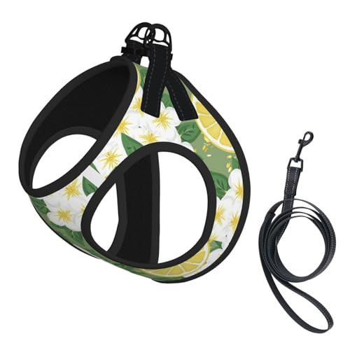 Verstellbares Geschirr-Set mit Leine für Katzen und Hunde, weich, atmungsaktiv, mit reflektierendem Design, ausbruchsichere Leine für kleine Haustiere Verstellbares Geschirr-Set mit Leine für Katzen und Hunde, weich, atmungsaktiv, mit reflektierendem Design, ausbruchsichere Leine für kleine Haustiere von LMNvbz
