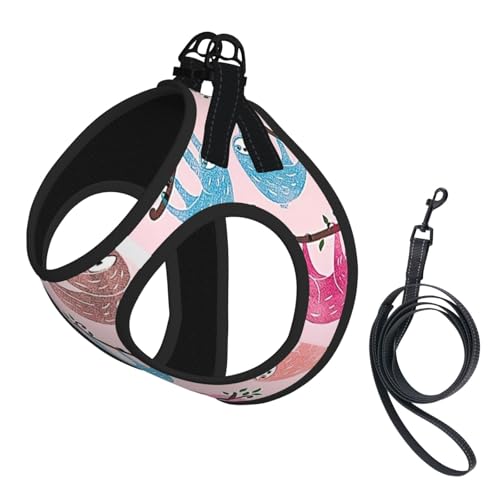 Verstellbares Geschirr-Set mit frechem Faultier-Druck, für Katzen und Hunde, weich, atmungsaktiv, Kätzchen-Welpen-Netzweste mit reflektierendem Design, ausbruchsichere Leine für kleine Haustiere Verstellbares Geschirr-Set mit frechem Faultier-Druck, für Katzen und Hunde, weich, atmungsaktiv, Kätzchen-Welpen-Netzweste mit reflektierendem Design, ausbruchsichere Leine für kleine Haustiere von LMNvbz