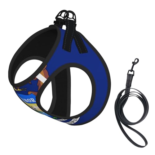 Verstellbares Geschirr mit Michigan-Staatsflaggen-Druck, für Katzen und Hunde, weich, atmungsaktiv, Kätzchen-Welpen-Netzweste mit reflektierendem Design, ausbruchsichere Leine für kleine Haustiere von LMNvbz