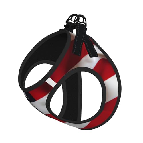 Verstellbares Geschirr mit amerikanischer Flagge, für Katzen und Hunde, weich, atmungsaktiv, Kätzchen, Welpen, Netzweste mit reflektierendem Design, ausbruchsichere Leine für kleine Haustiere von LMNvbz
