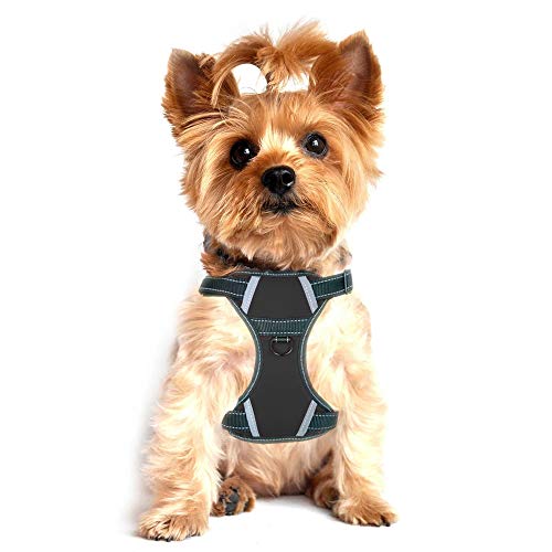 LMOBXEVL Service Hundegeschirr, kein Ziehen, Hundegeschirr mit Griff, verstellbar, reflektierend, für kleine und mittelgroße Rassen, Spaziergänge und Wandern von LMOBXEVL