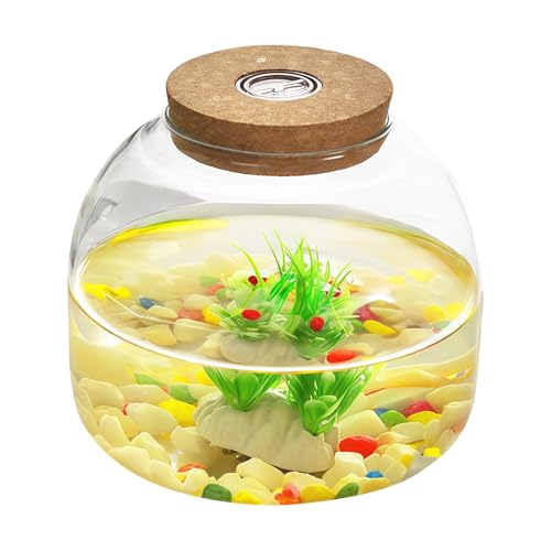 Glas-Terrarium-Glas mit Korkdeckel – luftdichter Sukkulenten-Übertopf, zur Aufbewahrung von Süßigkeiten, Keksen, Hydrokultur-Vase für Pflanzen, Basteln, Heimbüro-Dekor (rund, transparent) von LNQ LUNIQI
