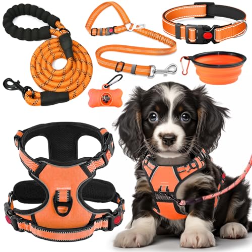 LOBEVE Anti-Zug Hundegeschirr Set mit Halsband & Leine | Inkl. Auto Sicherheitsgurt, Faltbare Näpfe & Kotbeutelspender | Für kleine bis große Hunde | Ideal für Spaziergänge, Training & Reisen LOBEVE Anti-Zug Hundegeschirr Set mit Halsband & Leine | Inkl. Auto Sicherheitsgurt, Faltbare Näpfe & Kotbeutelspender | Für kleine bis große Hunde | Ideal für Spaziergänge, Training & Reisen von LOBEVE