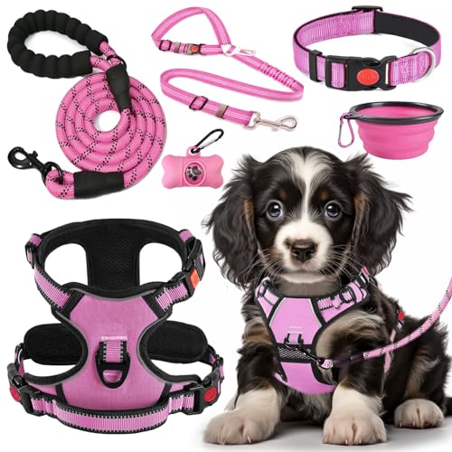 LOBEVE Anti-Zug Hundegeschirr Set mit Halsband & Leine | Inkl. Auto Sicherheitsgurt, Faltbare Näpfe & Kotbeutelspender | Für kleine bis große Hunde | Ideal für Spaziergänge, Training & Reisen LOBEVE Anti-Zug Hundegeschirr Set mit Halsband & Leine | Inkl. Auto Sicherheitsgurt, Faltbare Näpfe & Kotbeutelspender | Für kleine bis große Hunde | Ideal für Spaziergänge, Training & Reisen von LOBEVE