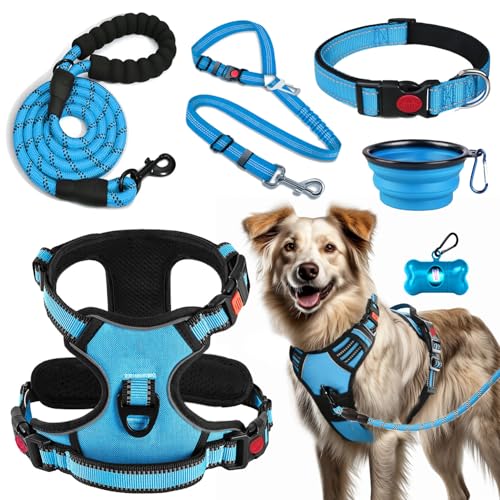 LOBEVE Anti-Zug Hundegeschirr Set mit Halsband & Leine | Inkl. Auto Sicherheitsgurt, Faltbare Näpfe & Kotbeutelspender | Für kleine bis große Hunde | Ideal für Spaziergänge, Training & Reisen LOBEVE Anti-Zug Hundegeschirr Set mit Halsband & Leine | Inkl. Auto Sicherheitsgurt, Faltbare Näpfe & Kotbeutelspender | Für kleine bis große Hunde | Ideal für Spaziergänge, Training & Reisen von LOBEVE