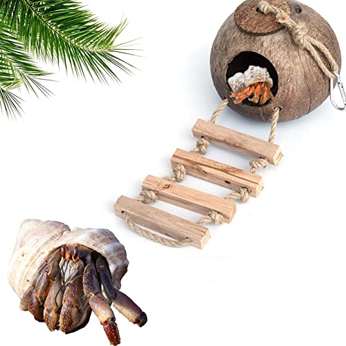 Einsiedlerkrebs Kokosnussschalenhütte mit Leiter, robuster Höhlenlebensraum mit Aufhängeschlaufe für Gecko, Reptilien, Amphibien und Kleintiere, 12,7 cm Durchmesser, 6,3 cm Öffnung braun Einsiedlerkrebs Kokosnussschalenhütte mit Leiter, robuster Höhlenlebensraum mit Aufhängeschlaufe für Gecko, Reptilien, Amphibien und Kleintiere, 12,7 cm Durchmesser, 6,3 cm Öffnung braun von LODCZIOE