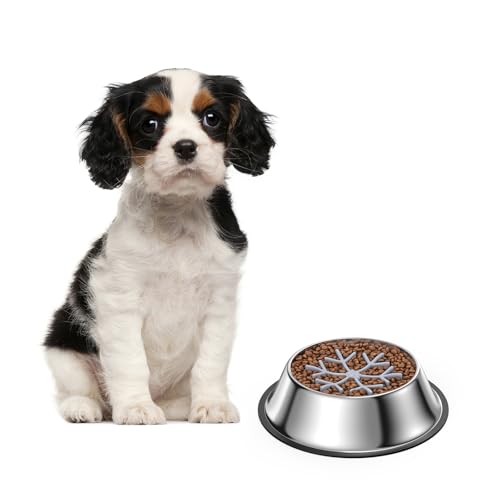 LOFICOPER Futternapf aus Edelstahl, rutschfeste Unterseite aus Metall mit Silikoneinsatz, leicht zu reinigendes Design, um schnelles Fressen zu stoppen, langsames Füttern für mittelgroße Hunde von LOFICOPER