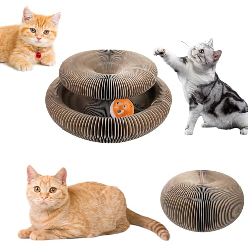 Magische Orgel Katzenkratzbrett,Kitten Kratzbrett für Junge Katze,Interaktive Kratzunterlage mit Ball,Katzenspielzeug Intelligenz Intelligenzspielzeug Magische Orgel Katzenkratzbrett,Kitten Kratzbrett für Junge Katze,Interaktive Kratzunterlage mit Ball,Katzenspielzeug Intelligenz Intelligenzspielzeug von LOHOM