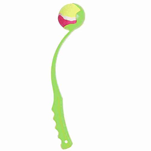 LOKAXXZU 1pcs Sport Launcher Hunde Spielzeugball -Werfer Haustraining Interaktiver Spielzeughund Fetch Spielzeug Haustier werfen Spielzeuglauncher Haustier Vorräte, 1 LOKAXXZU 1pcs Sport Launcher Hunde Spielzeugball -Werfer Haustraining Interaktiver Spielzeughund Fetch Spielzeug Haustier werfen Spielzeuglauncher Haustier Vorräte, 1 von LOKAXXZU